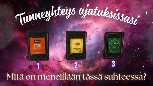 Tunneyhteys ajatuksissasi - mitä on meneillään? Jatkoluenta 3 (Vihreä tee)